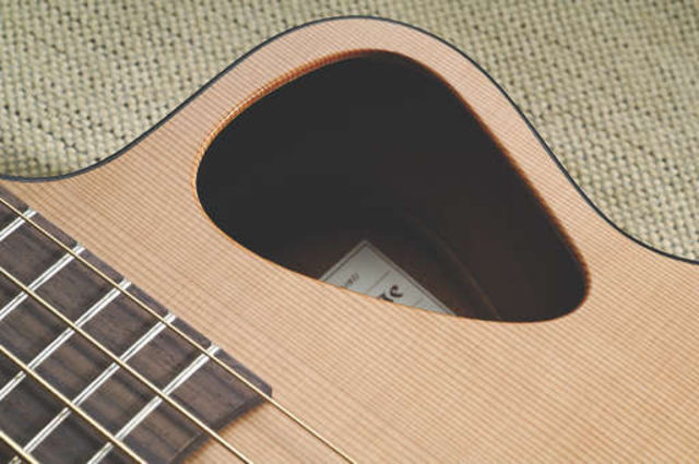 The unique positioning of the soundhole greatly reduces feedback. The unique positioning of the soundhole greatly reduces feedback.